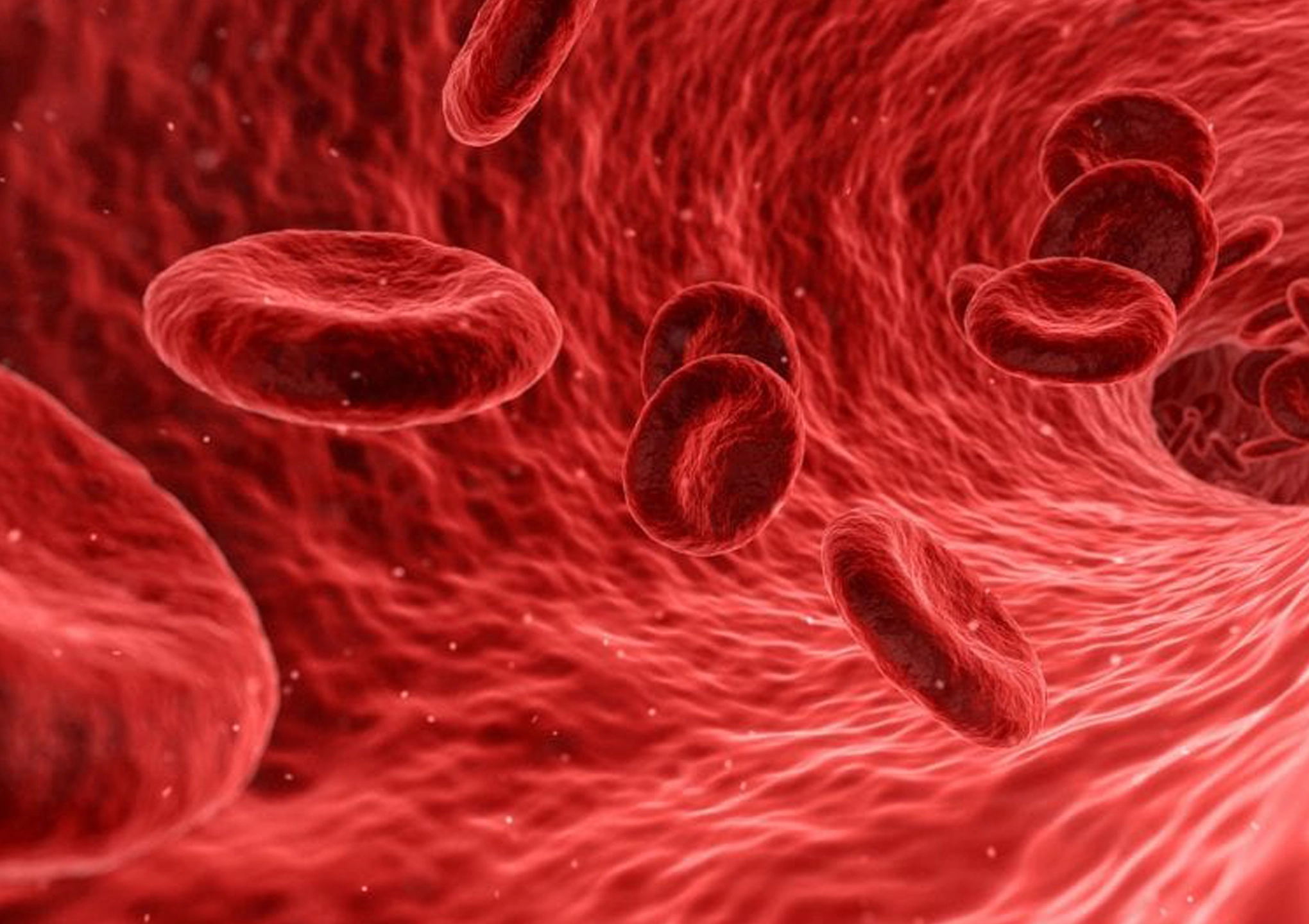 Illustration of a healthy blood vessel during medical detox therapy in Carmel Indiana, showing improved circulation and removal of toxins through EBO2 treatment at BionwoRx.