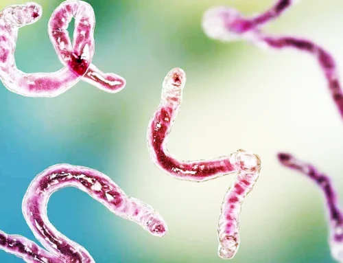 Pathogens, Parasites and Viruses in the Body: Gut Health and Detox Support