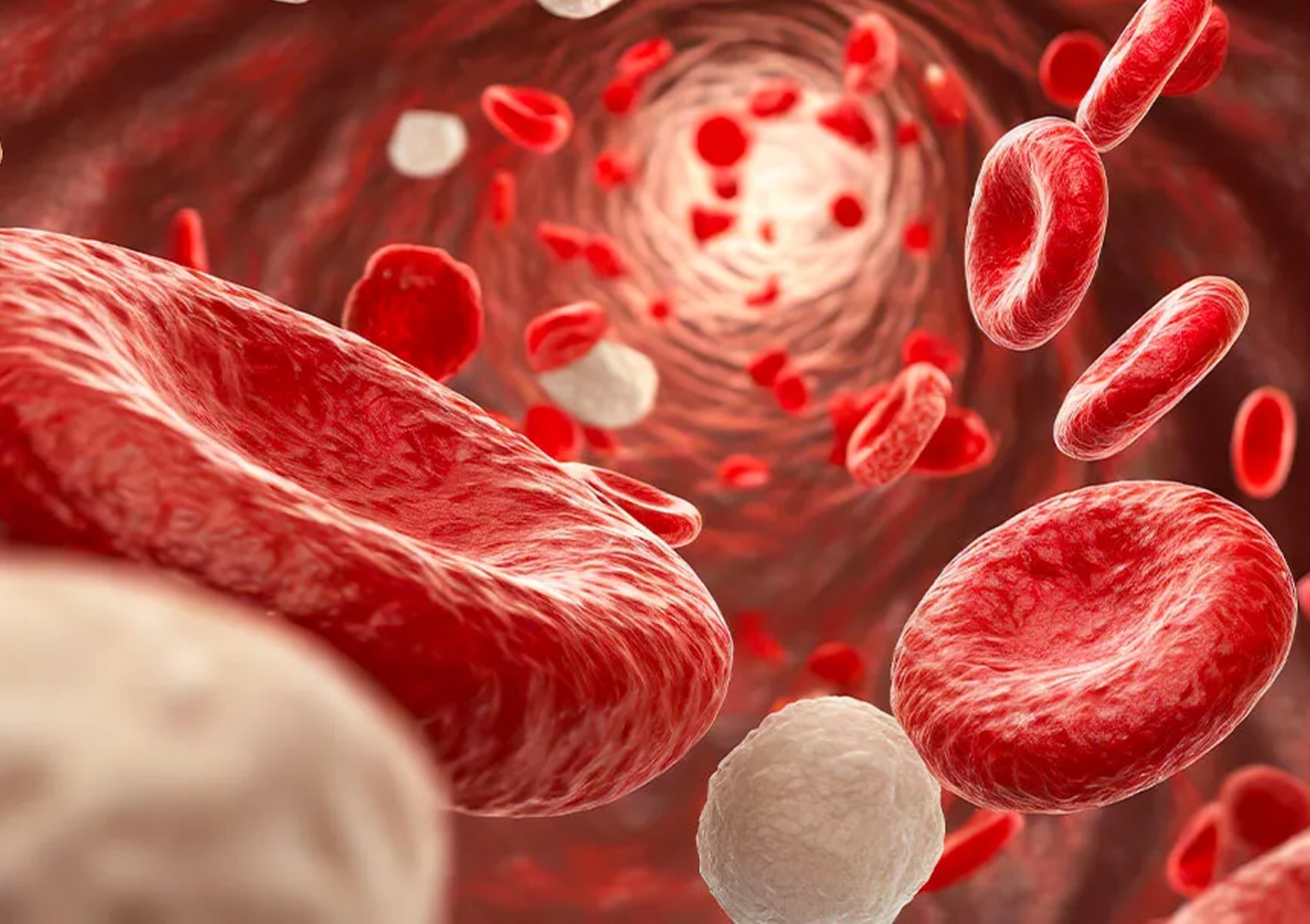 EBO2 extracorporeal blood oxygenation and ozonation therapy showing blood circulation and detoxification support during treatment process at BionwoRx: Center for Functional and Regenerative Medicine in Carmel, Indiana.