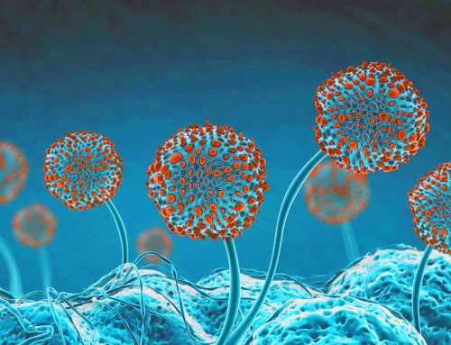 Mold and Mycotoxins: Hidden Causes of Chronic Illness, Fatigue, Brain Fog, and Inflammation