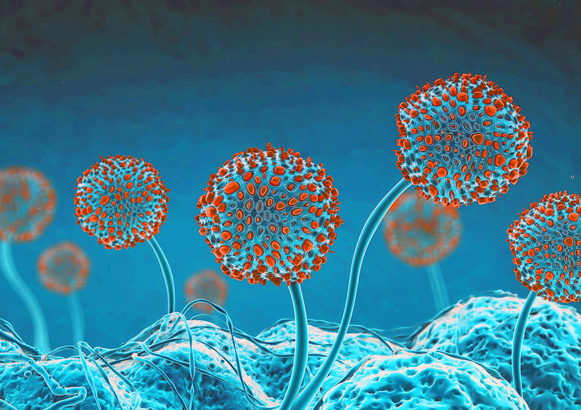 Close-up microscopic view of airborne mold spores and fungal mycotoxins associated with chronic inflammation, fatigue, gut dysfunction, and mold illness, featured by BionwoRx in Carmel, Indiana